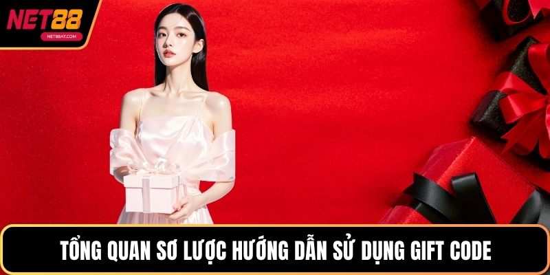 Tổng quan sơ lược hướng dẫn sử dụng gift code